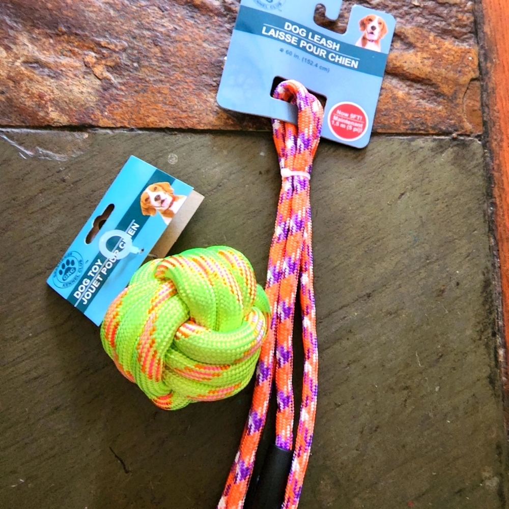 ❌❌DONATED❌❌ DOGGY Styling ~ Colorful Leash and Ball